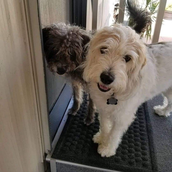 Awareness, Clothes, Randoms, Handbags, Jewelry. You Are Not Alone 🦩💕 - Picture 9 of 16